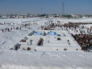 Snow Maze from Above