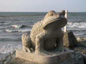 Frog and Ocean